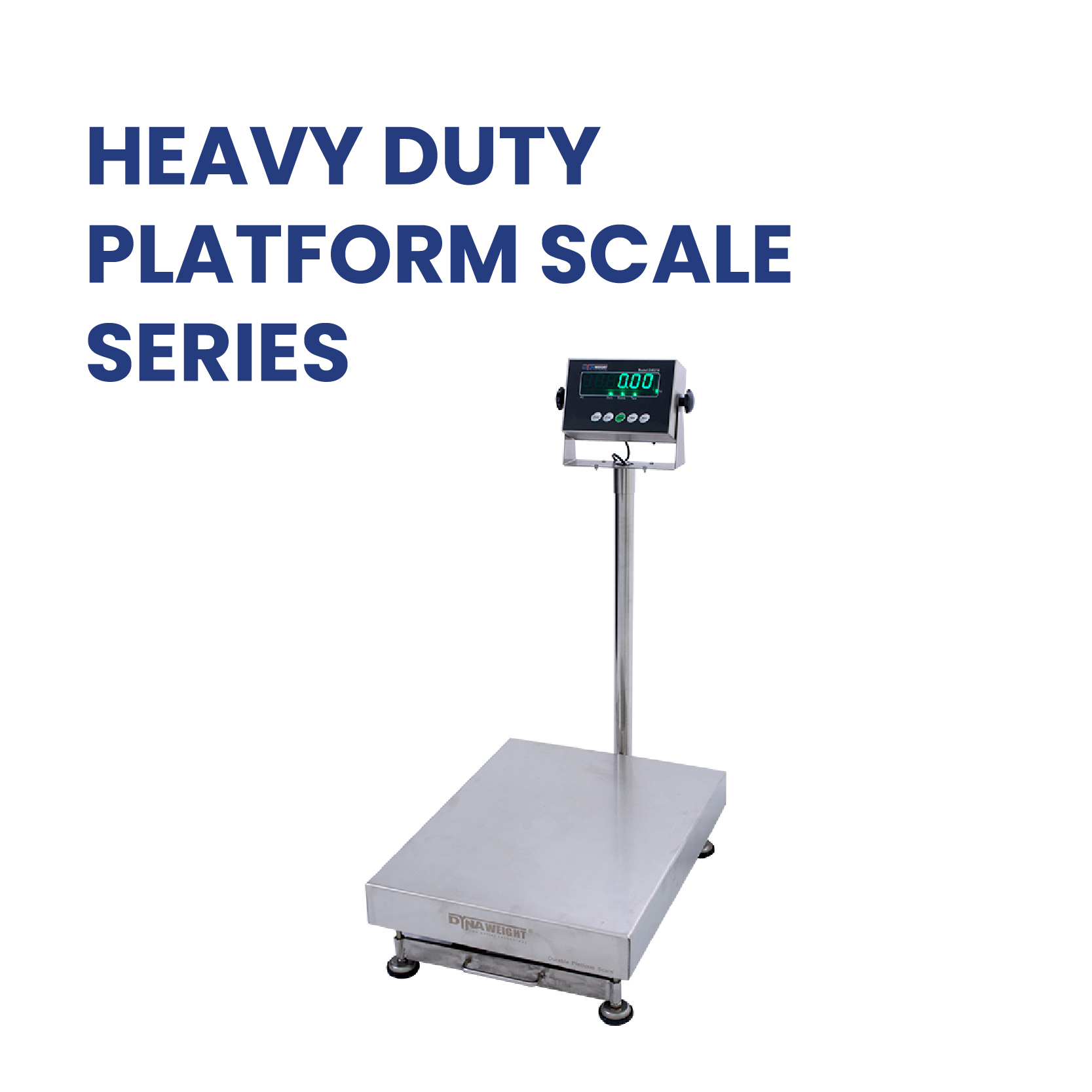 PLATFORM SCALE  PHPTO-01.jpg
