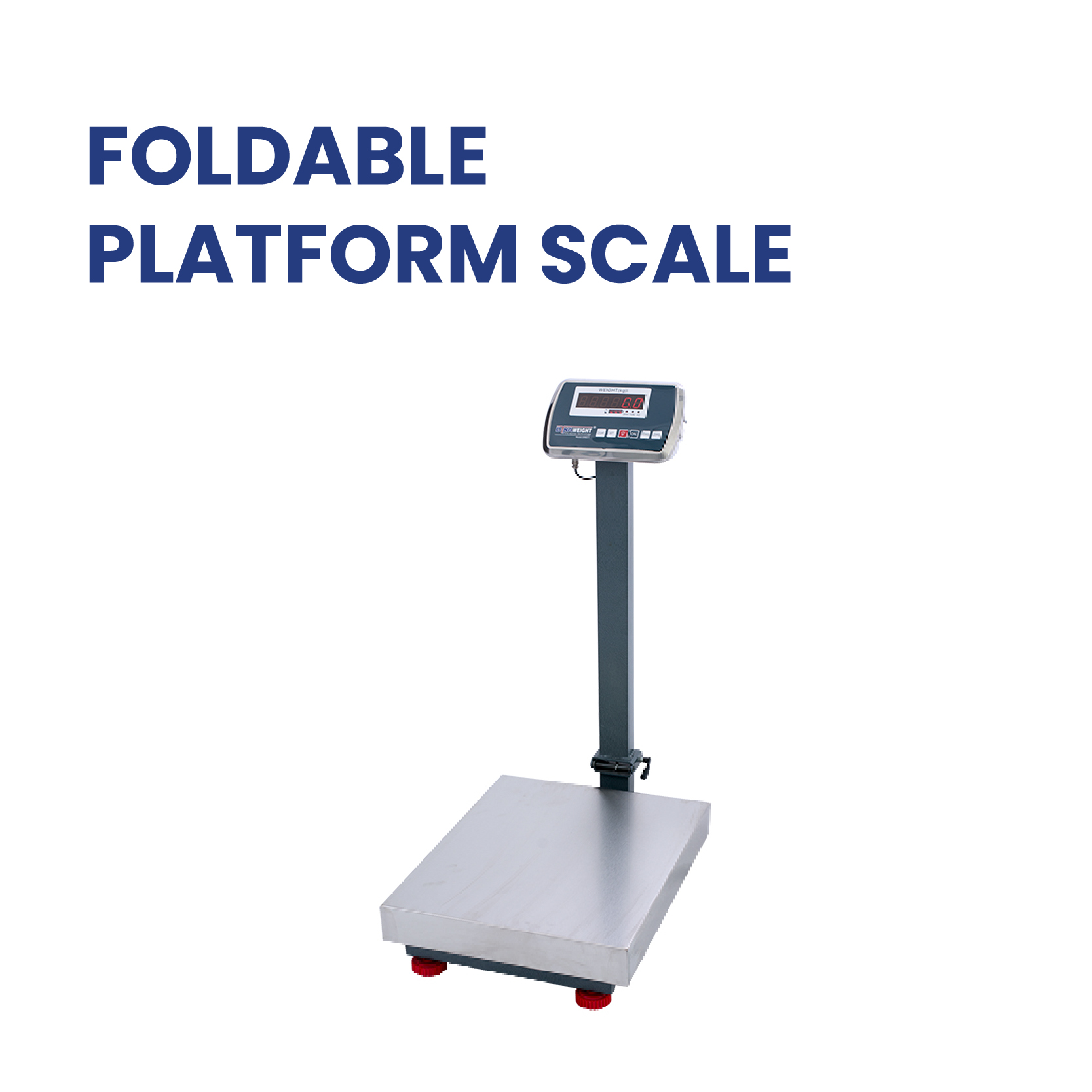 PLATFORM SCALE  PHPTO-02.jpg