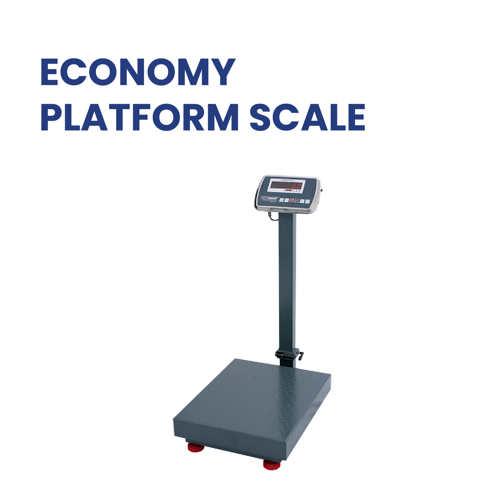 PLATFORM SCALE  PHPTO-04.jpg